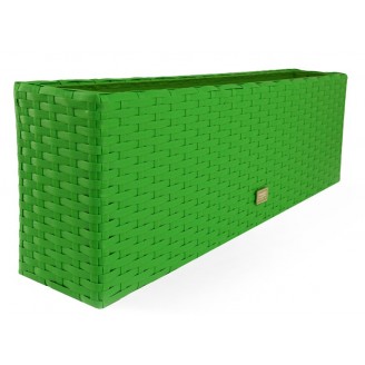 квітник Оазіс